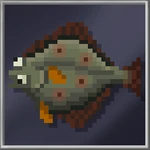 Halibut